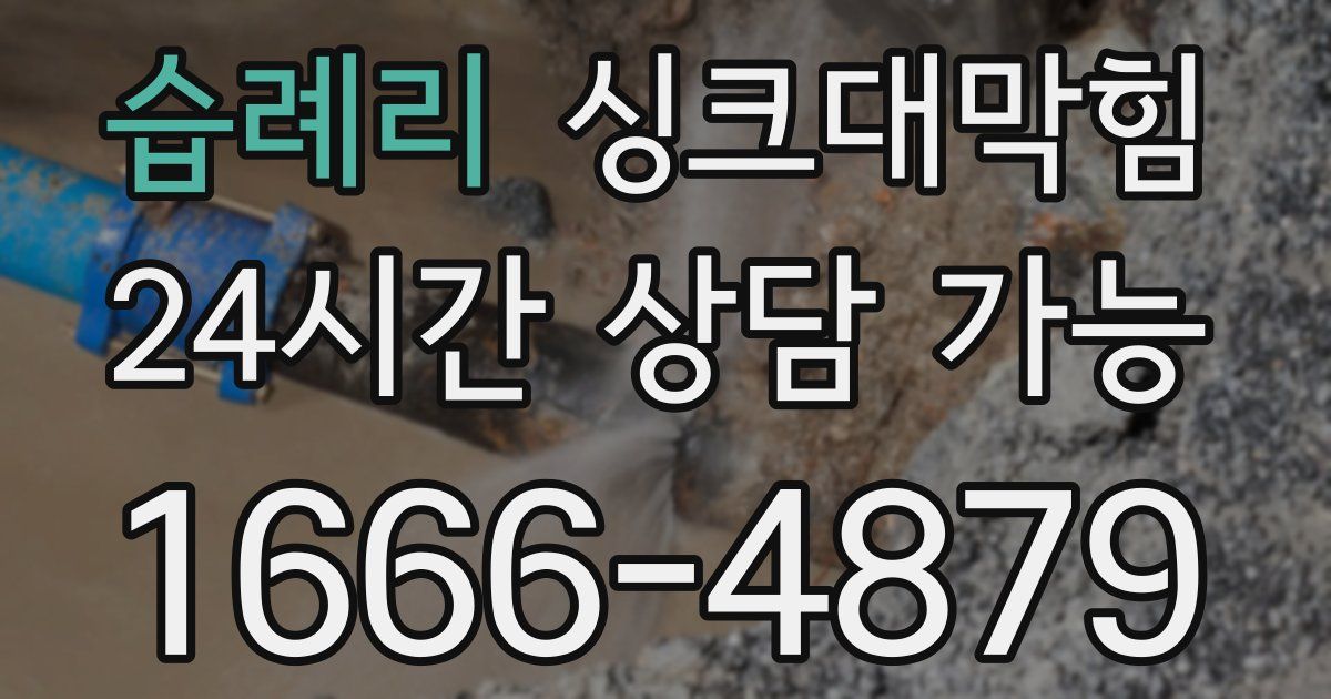 습례리 싱크대 뚫기