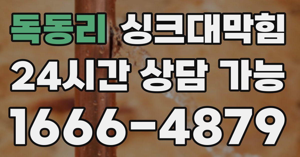 독동리 싱크대 뚫기