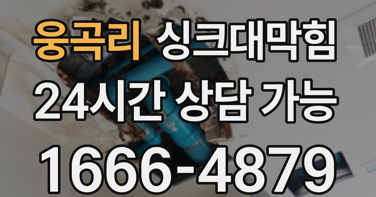 웅곡리 싱크대 뚫기