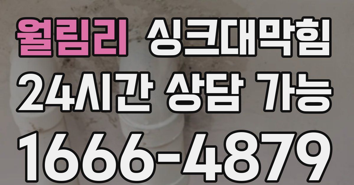 월림리 싱크대 뚫기