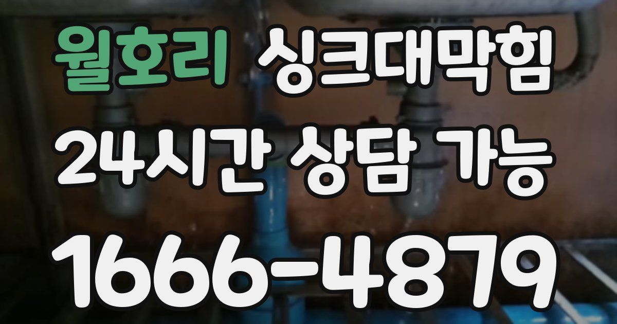 월호리 싱크대 뚫기