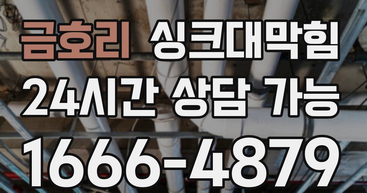 금호리 싱크대 뚫기