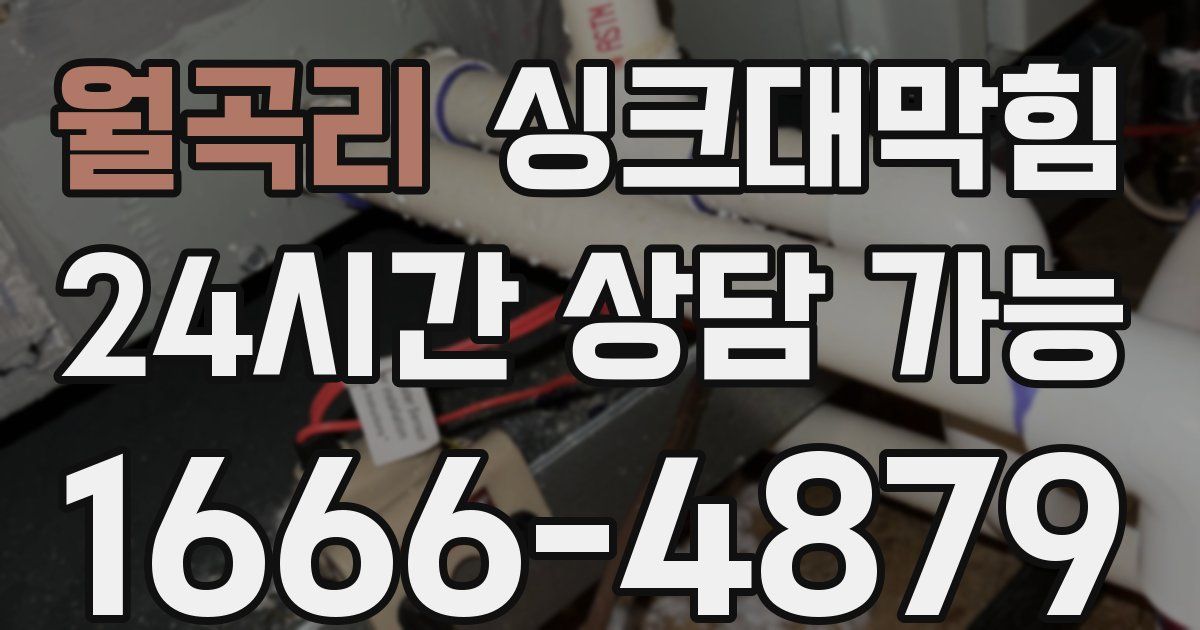 월곡리 싱크대 뚫기