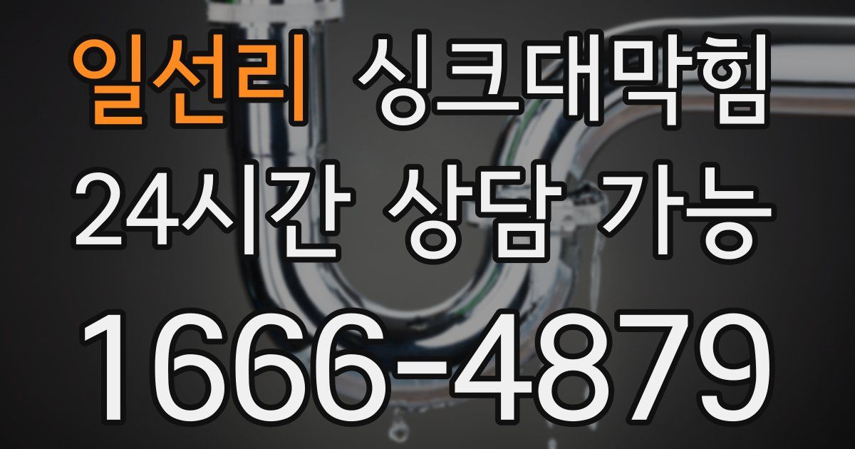 일선리 싱크대 뚫기