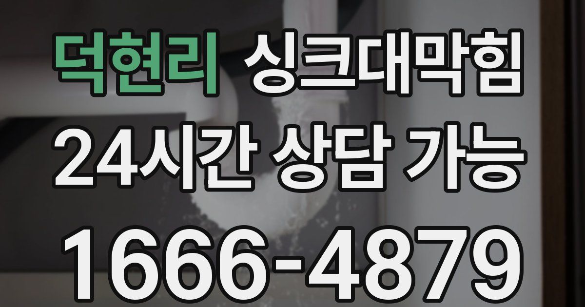 덕현리 싱크대 뚫기