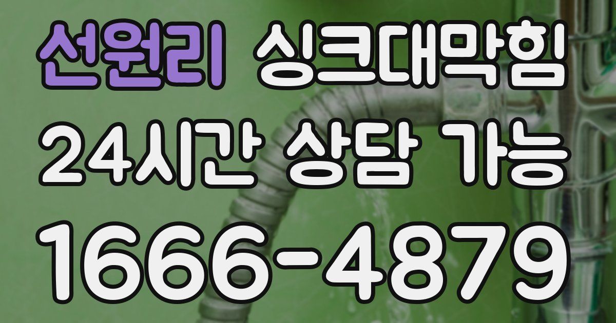 선원리 싱크대 뚫기