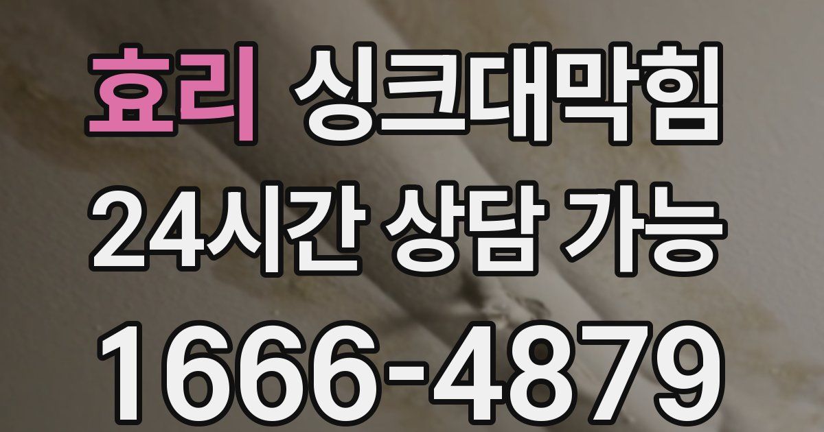 효리 싱크대 뚫기