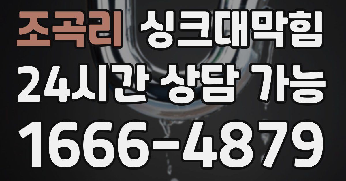 조곡리 싱크대 뚫기