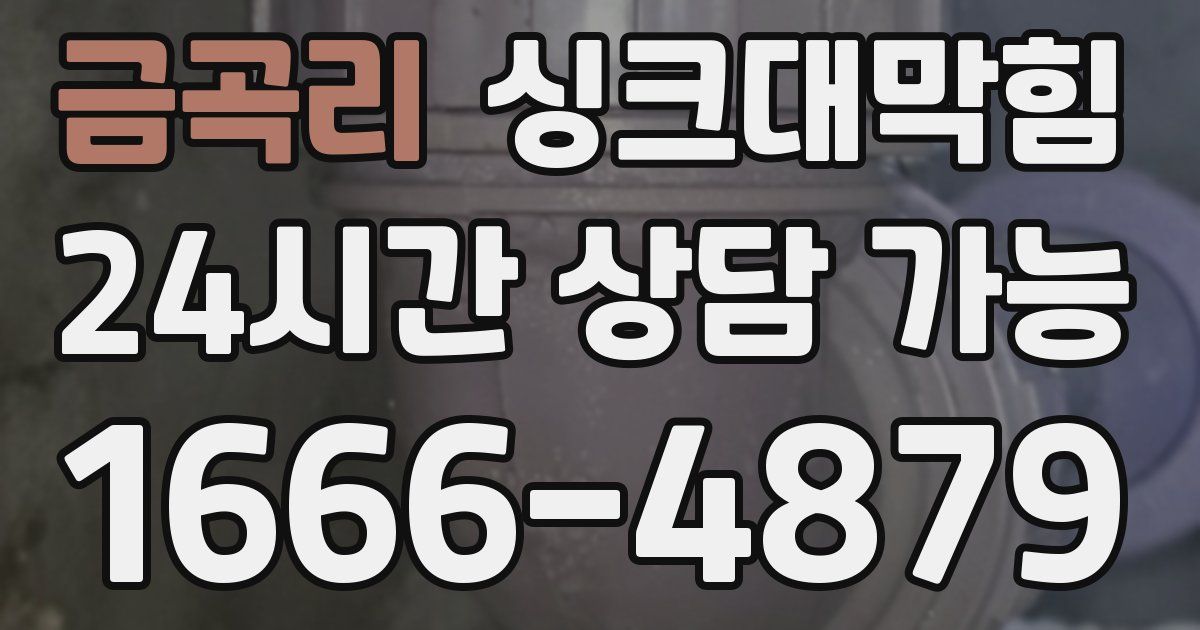 금곡리 싱크대 뚫기