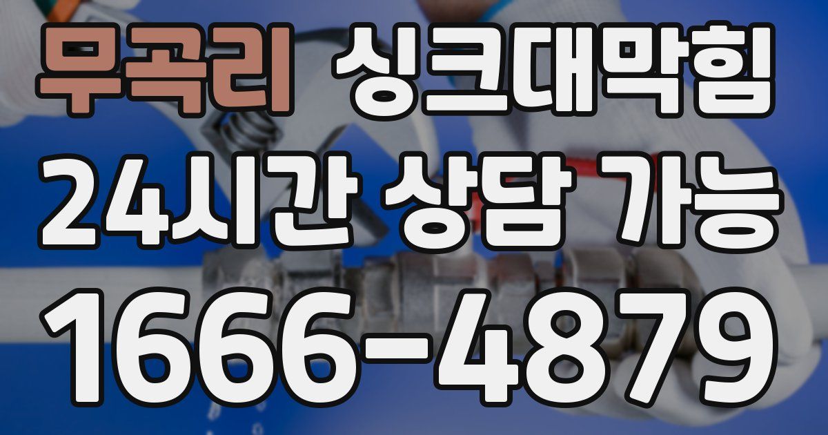 무곡리 싱크대 뚫기