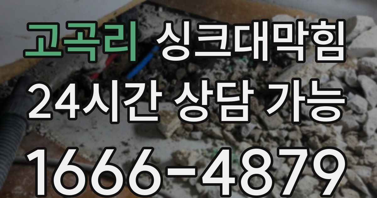 고곡리 싱크대 뚫기