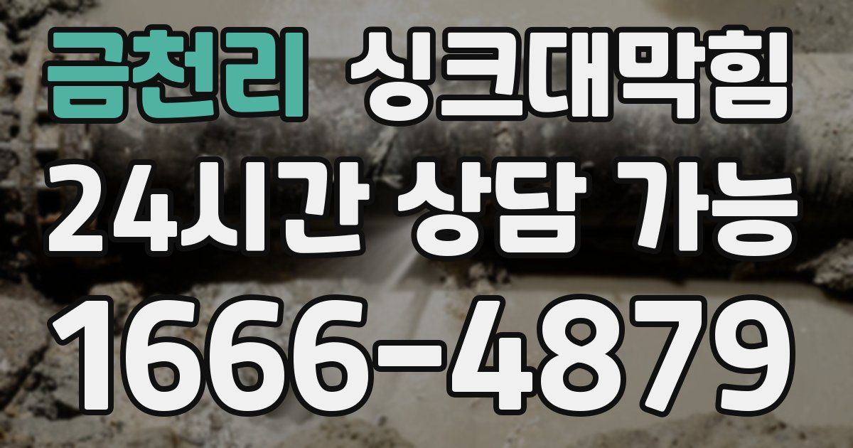 금천리 싱크대 뚫기