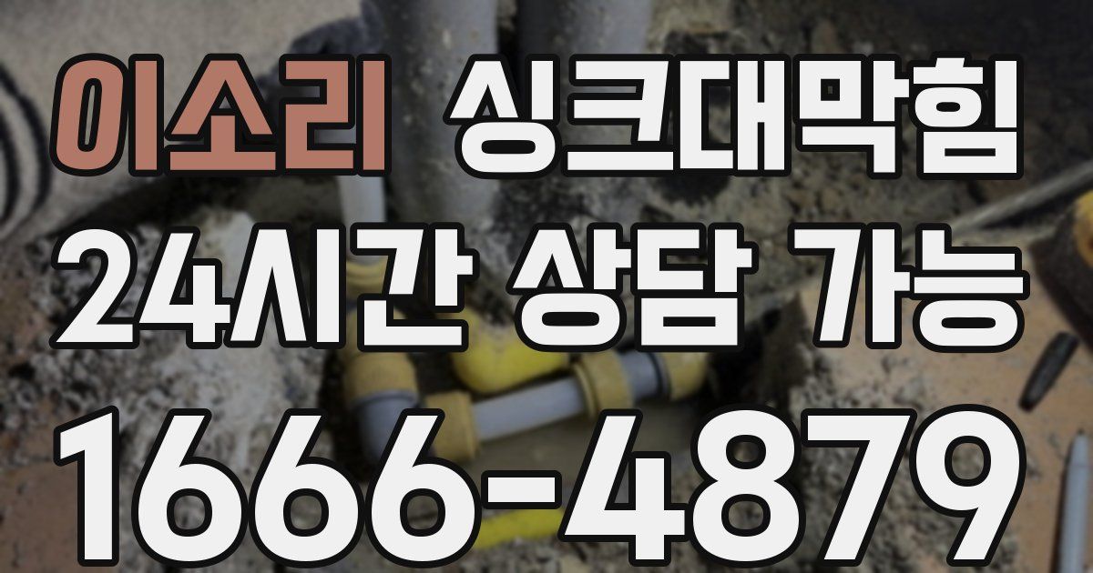 이소리 싱크대 뚫기