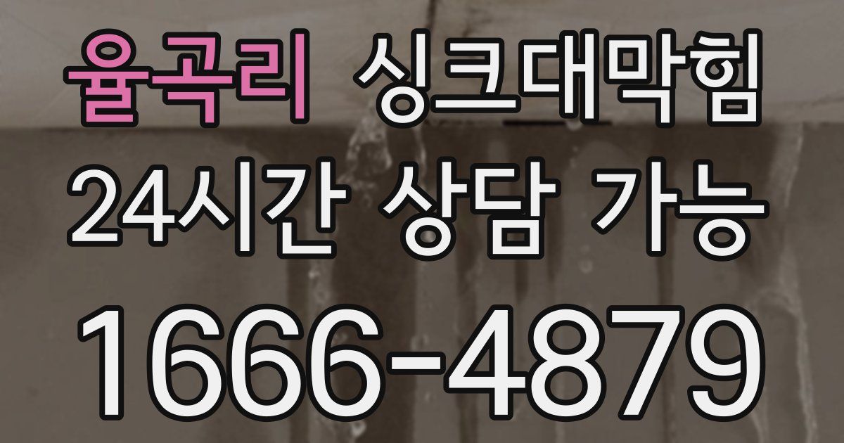 율곡리 싱크대 뚫기