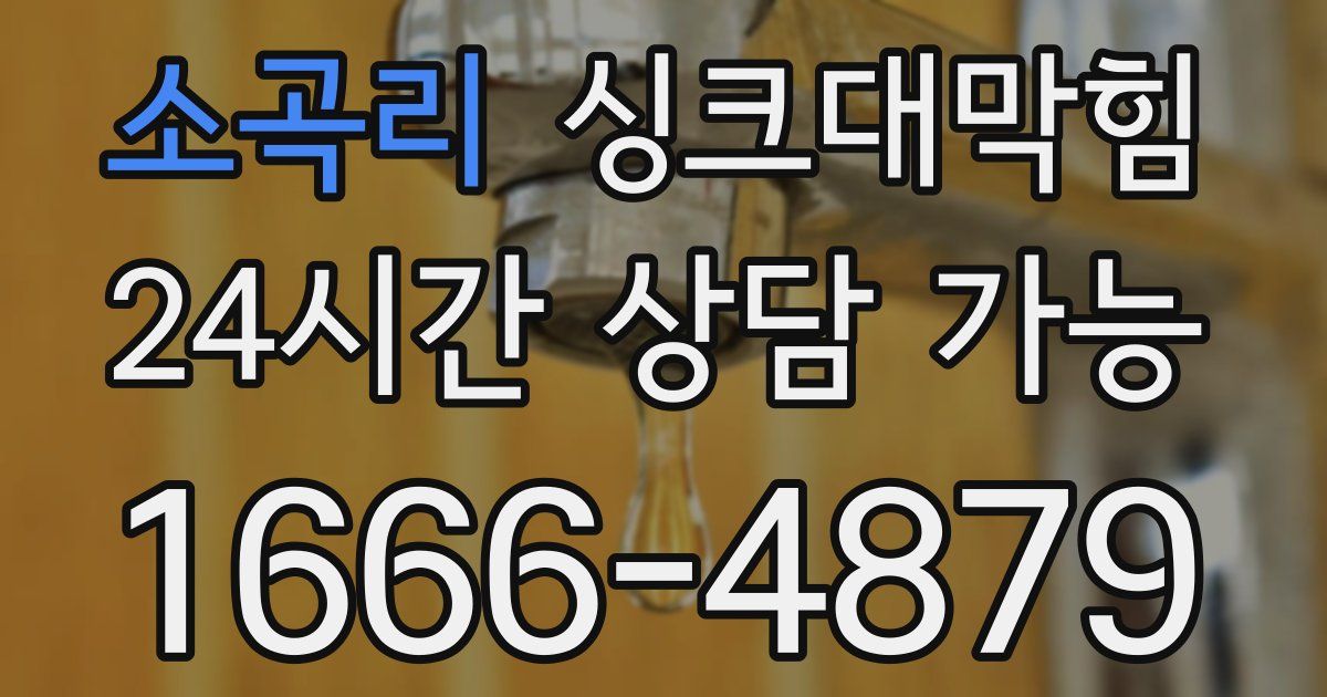소곡리 싱크대 뚫기