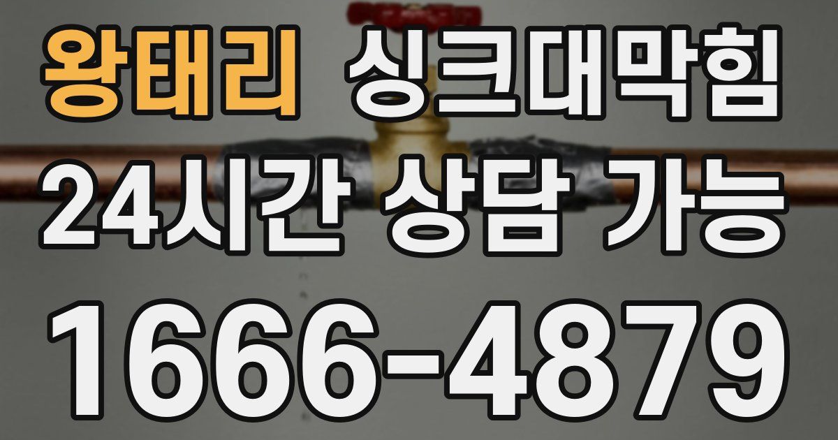 왕태리 싱크대 뚫기