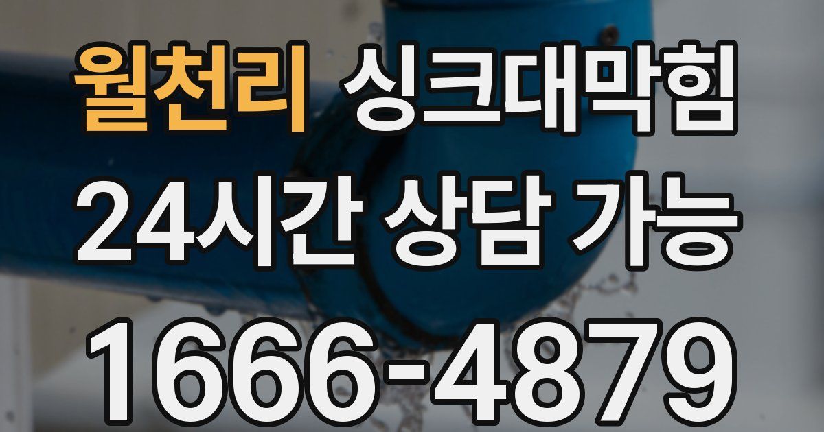 월천리 싱크대 뚫기