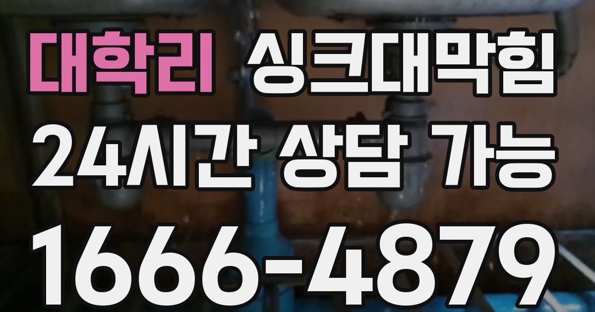 대학리 싱크대 뚫기
