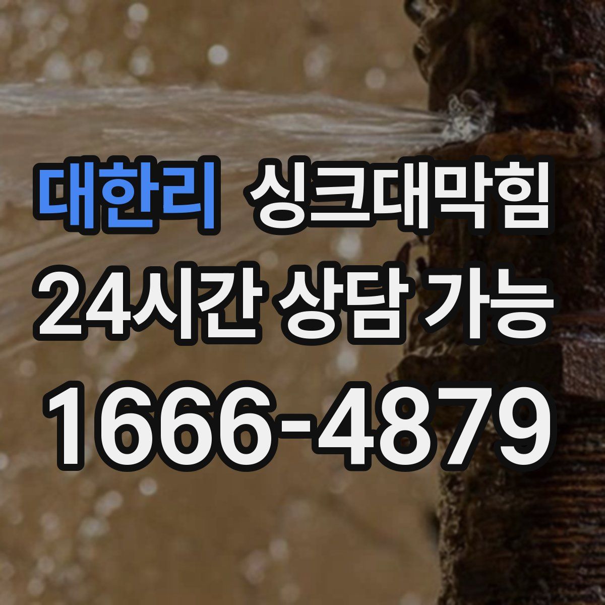 대한리 싱크대막힘