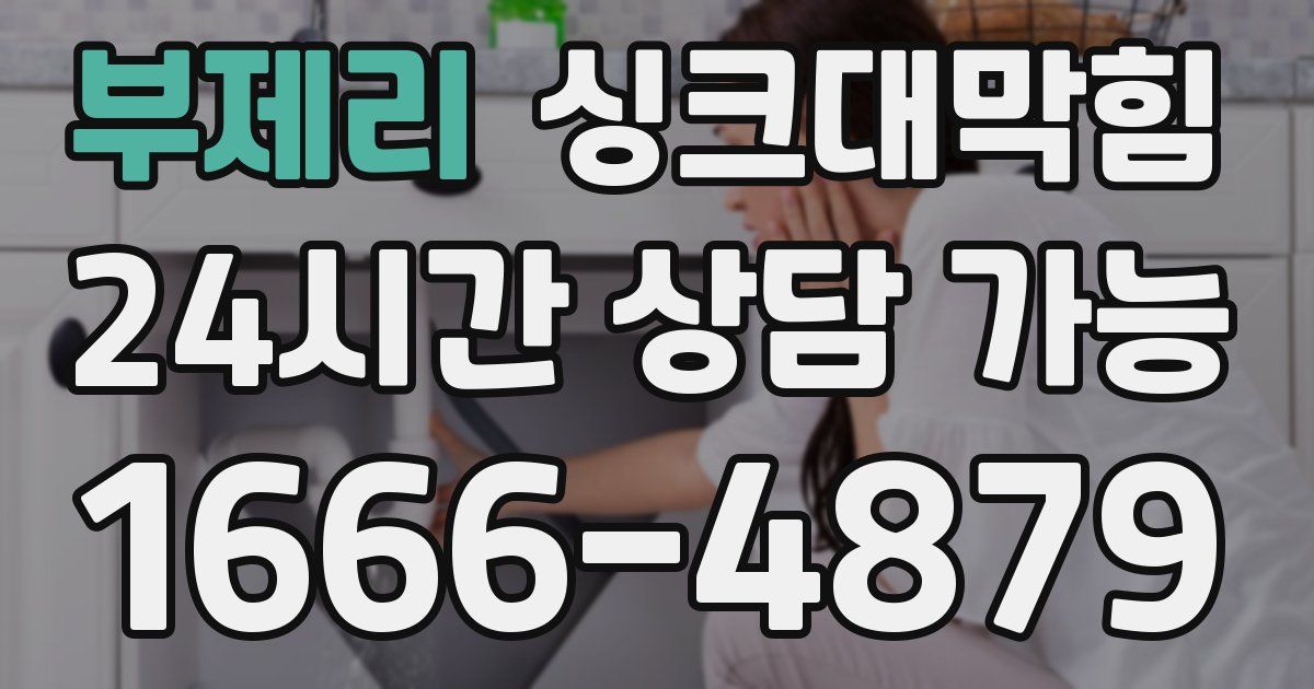 부제리 싱크대 뚫기