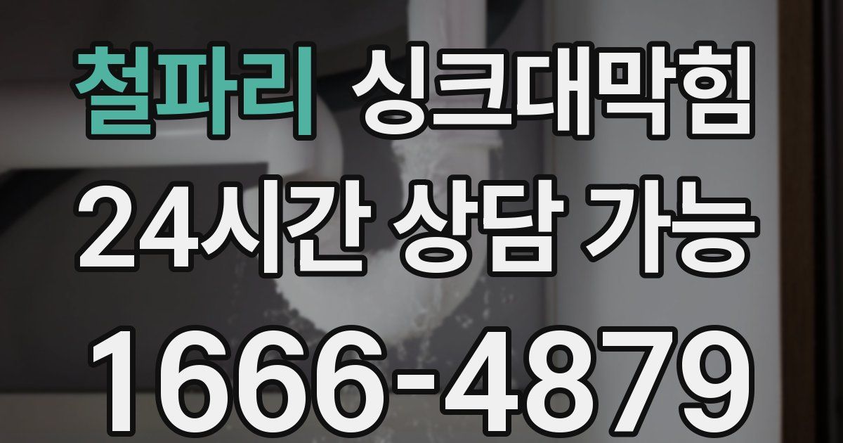 철파리 싱크대 뚫기