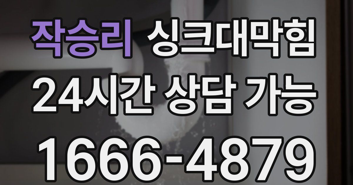 작승리 싱크대 뚫기