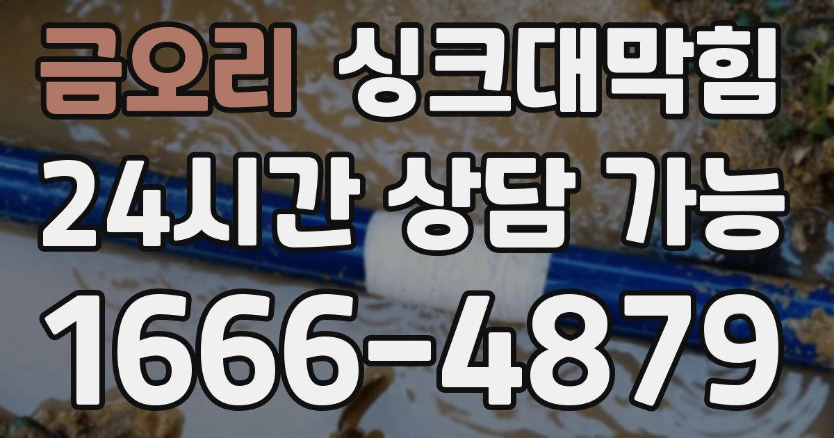 금오리 싱크대 뚫기