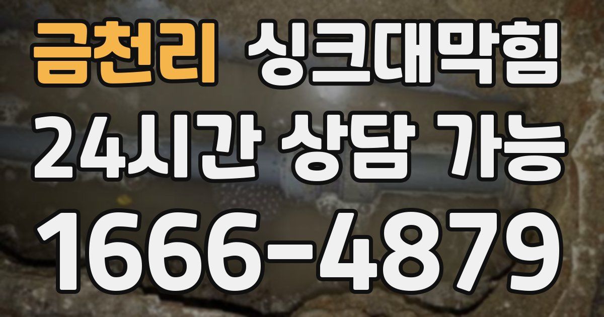 금천리 싱크대 뚫기