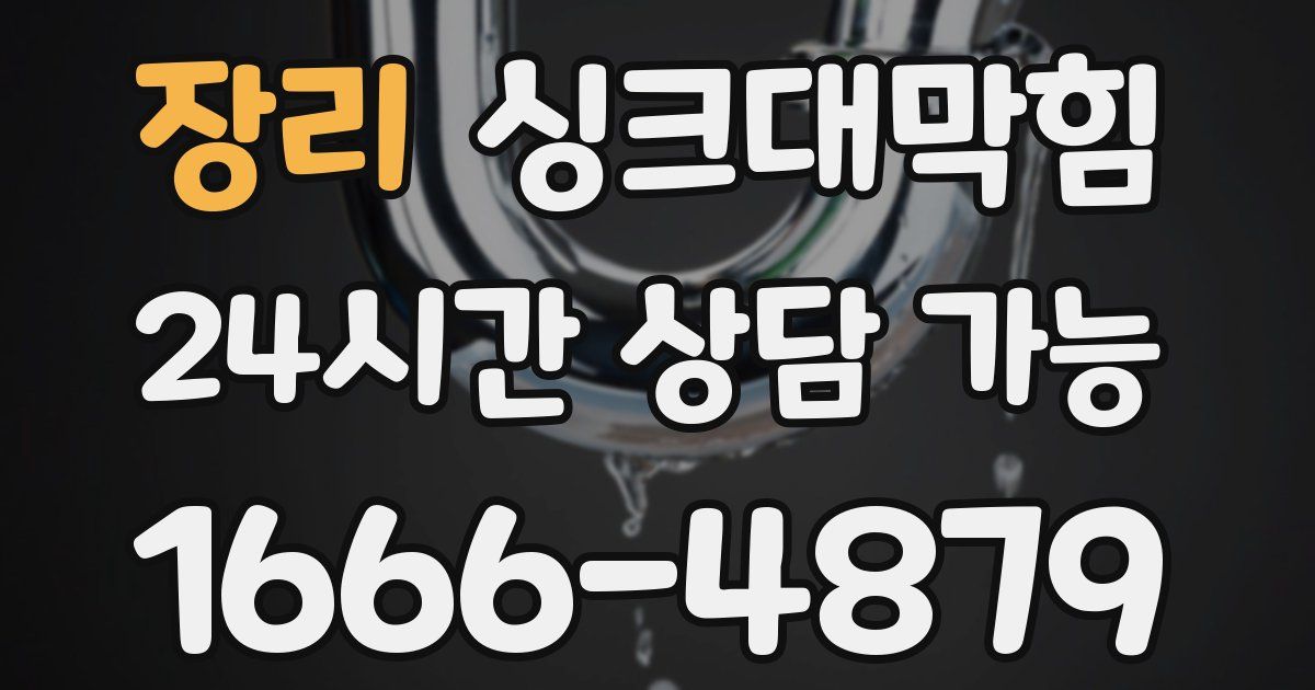 장리 싱크대 뚫기