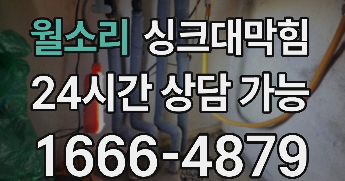 월소리 싱크대 뚫기