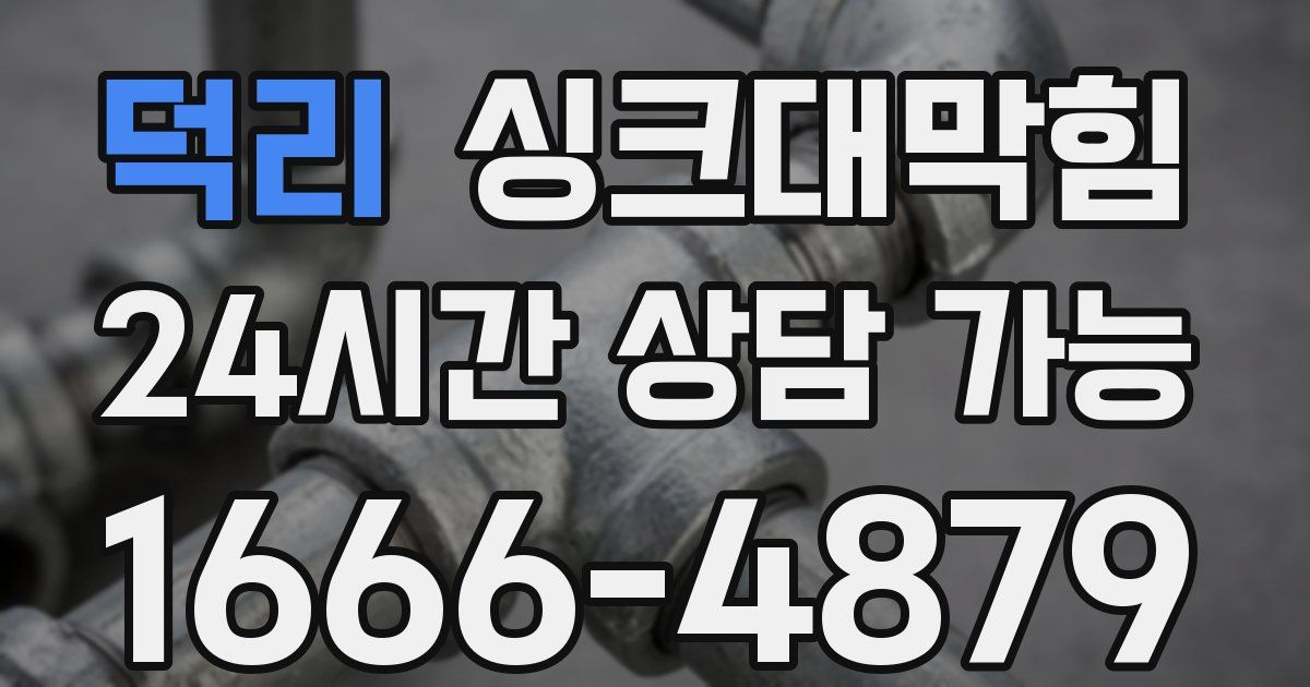 덕리 싱크대 뚫기