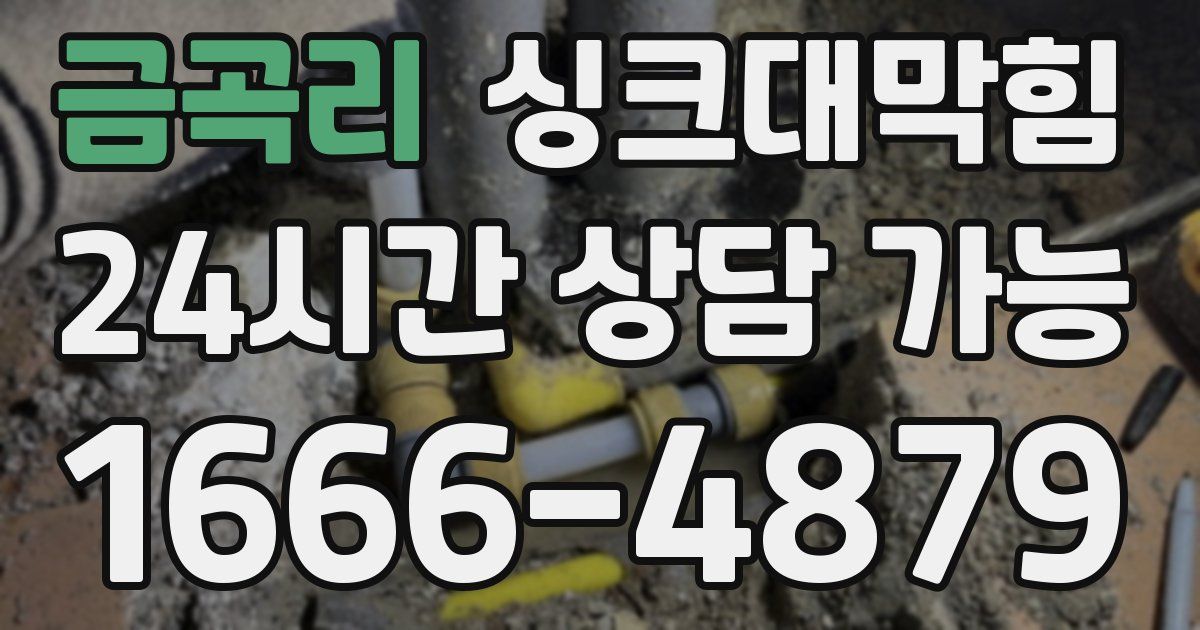 금곡리 싱크대 뚫기