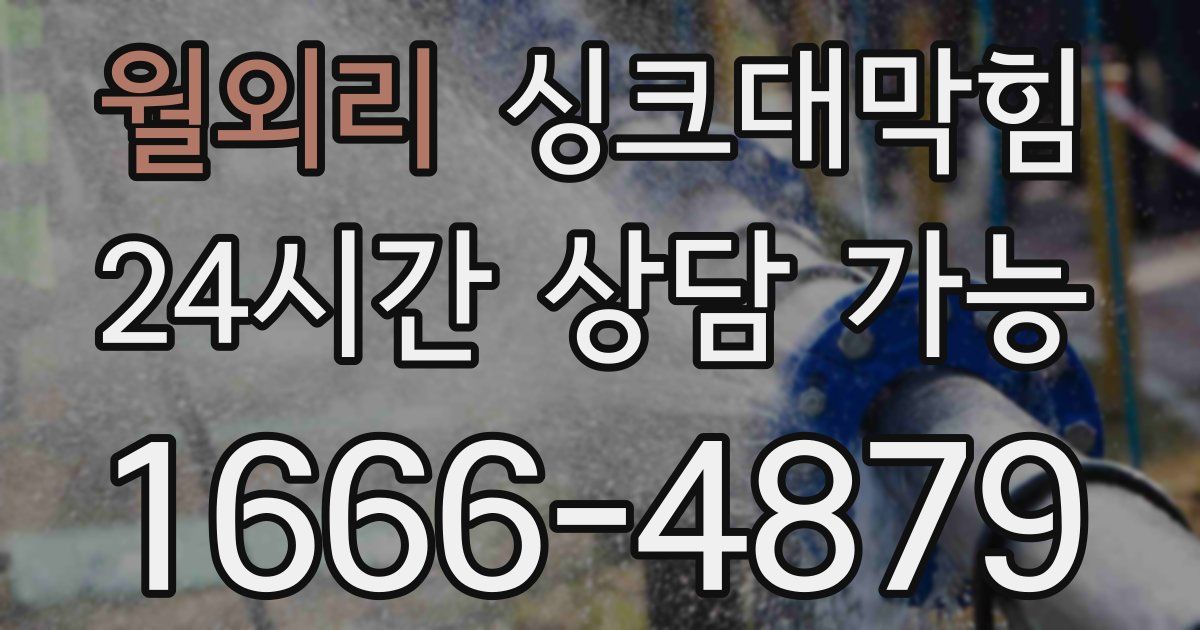 월외리 싱크대 뚫기