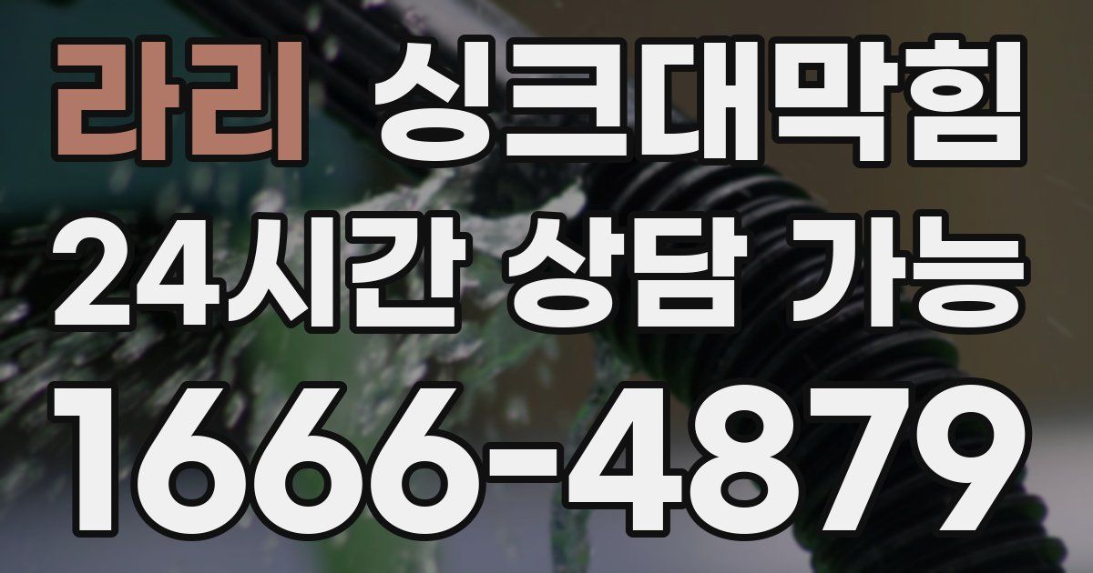라리 싱크대 뚫기