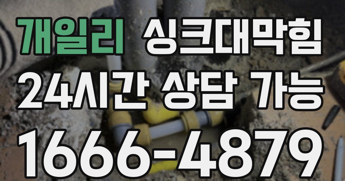 개일리 싱크대 뚫기