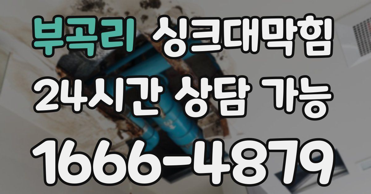 부곡리 싱크대 뚫기