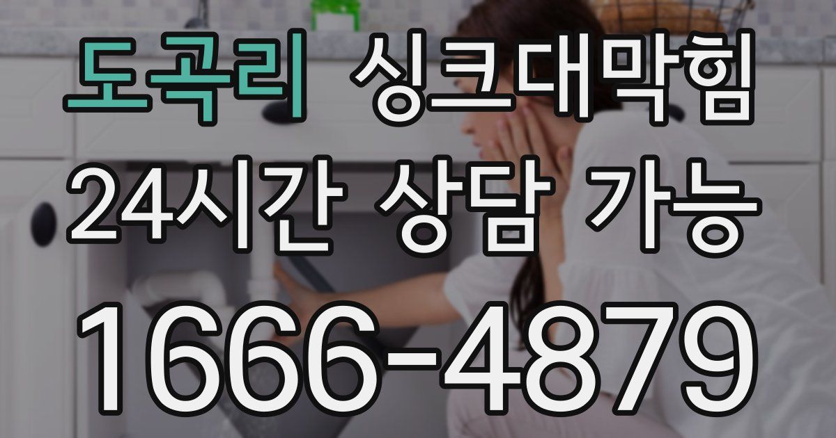 도곡리 싱크대 뚫기