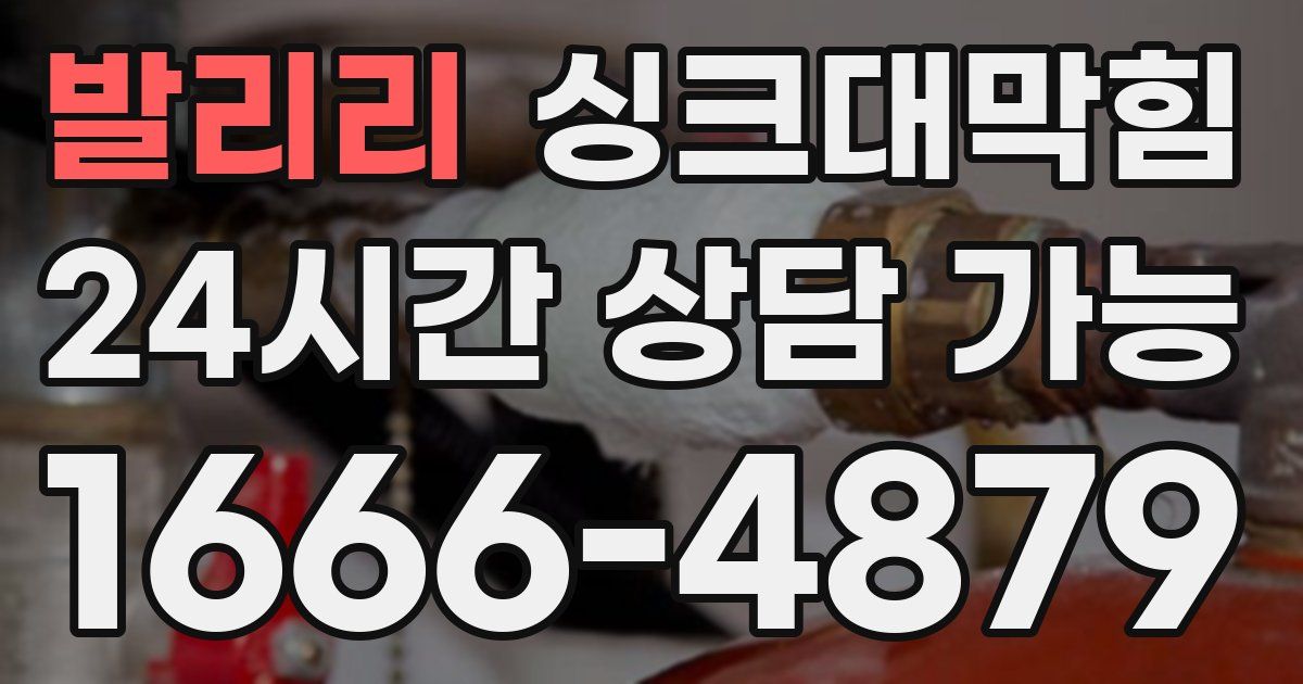 발리리 싱크대 뚫기