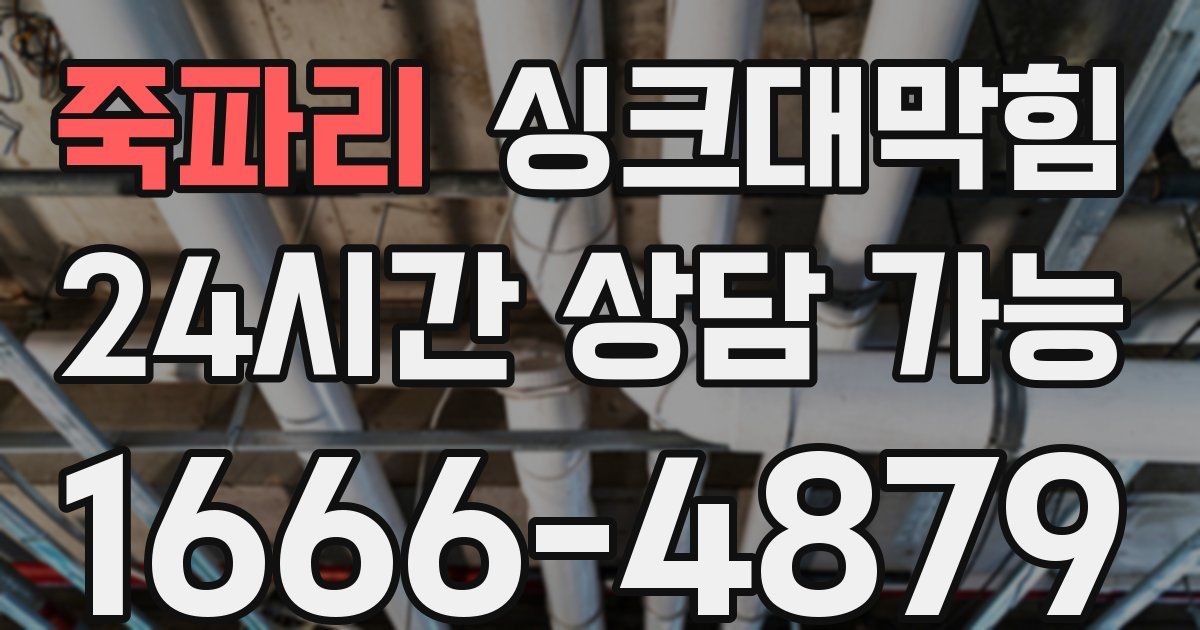죽파리 싱크대 뚫기