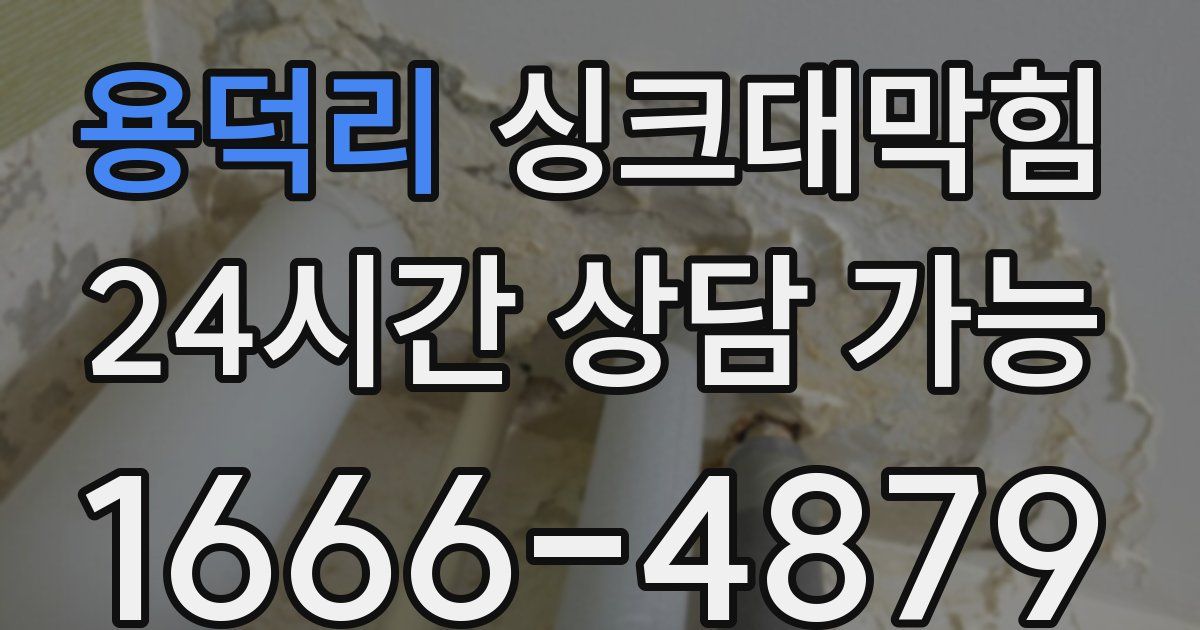 용덕리 싱크대 뚫기