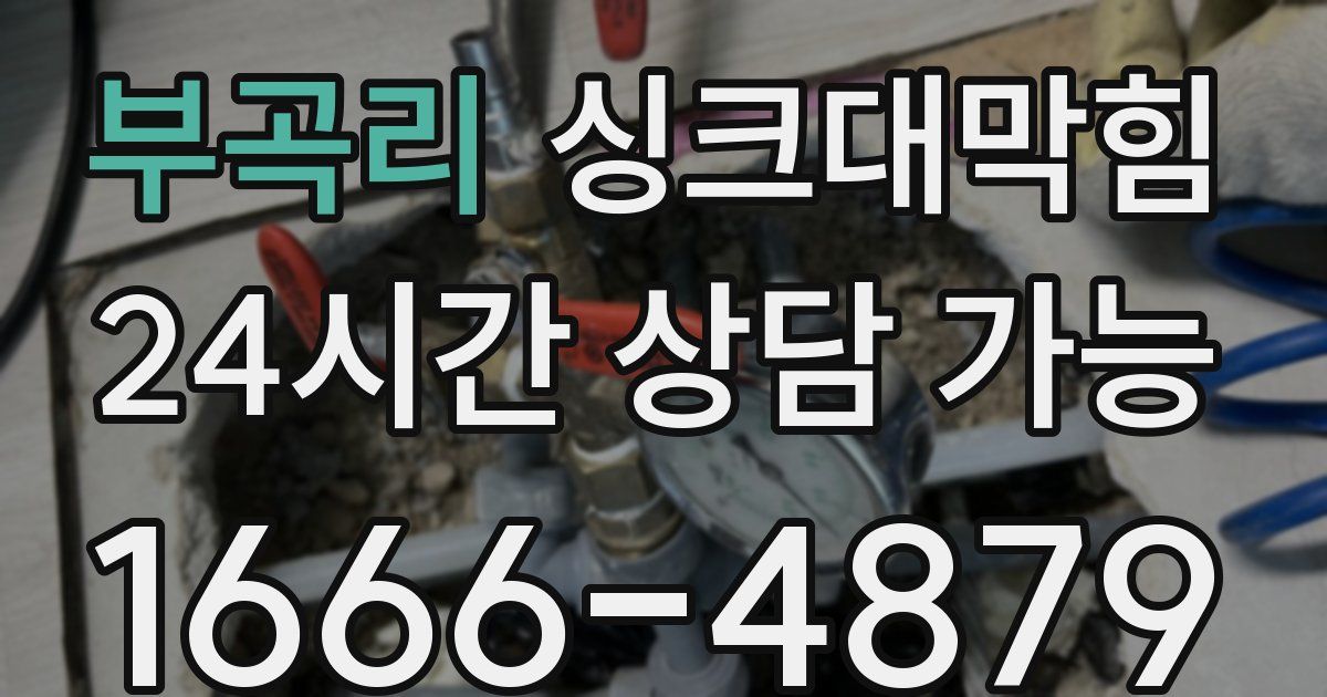 부곡리 싱크대 뚫기