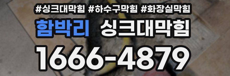 싱크대막힘
