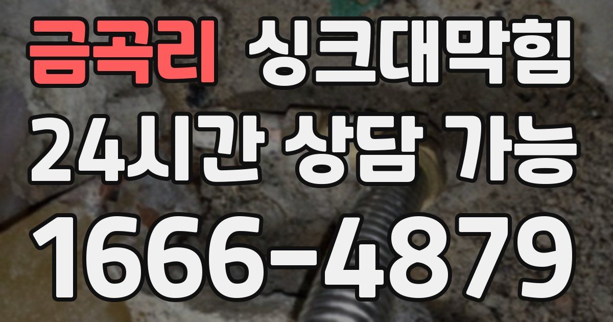금곡리 싱크대 뚫기