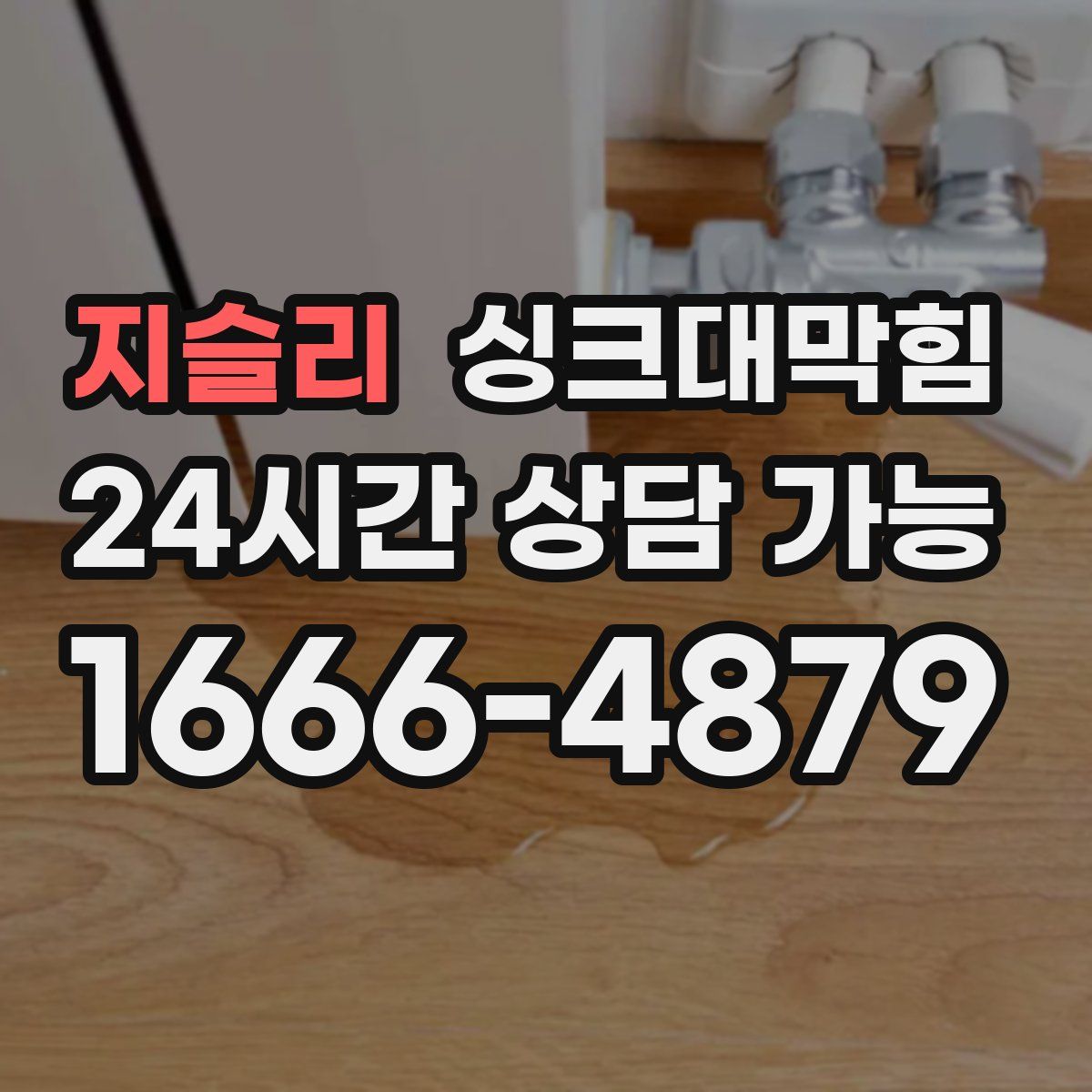 지슬리 싱크대막힘