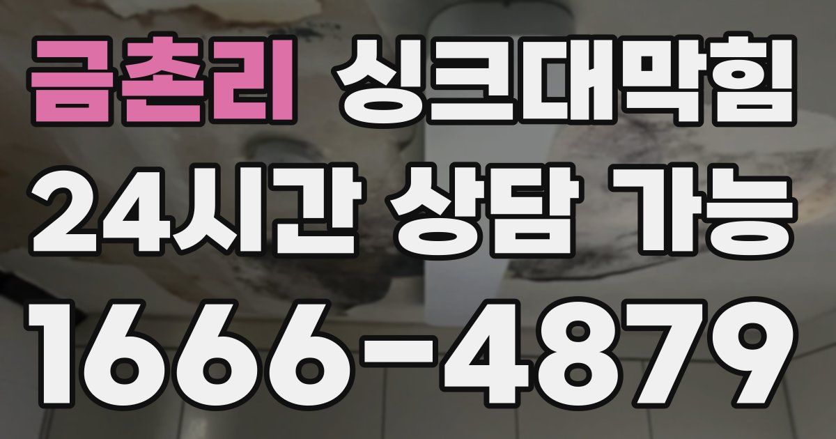 금촌리 싱크대 뚫기