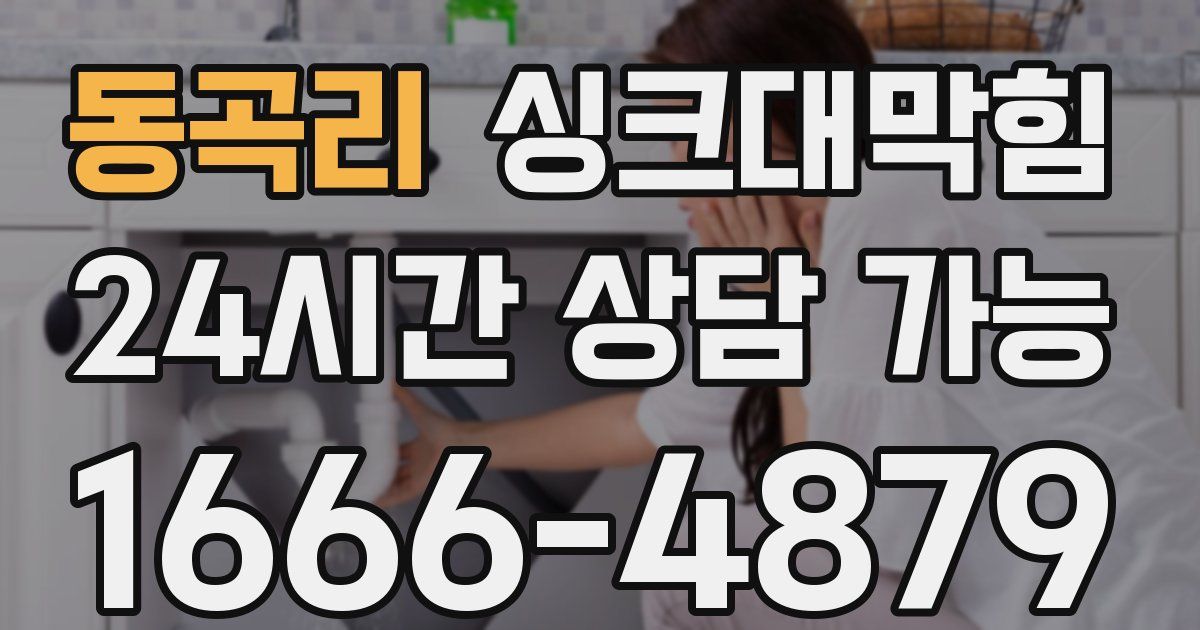동곡리 싱크대 뚫기