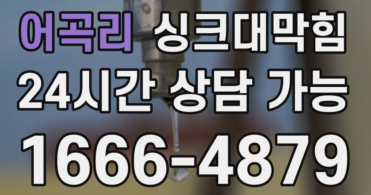 어곡리 싱크대 뚫기