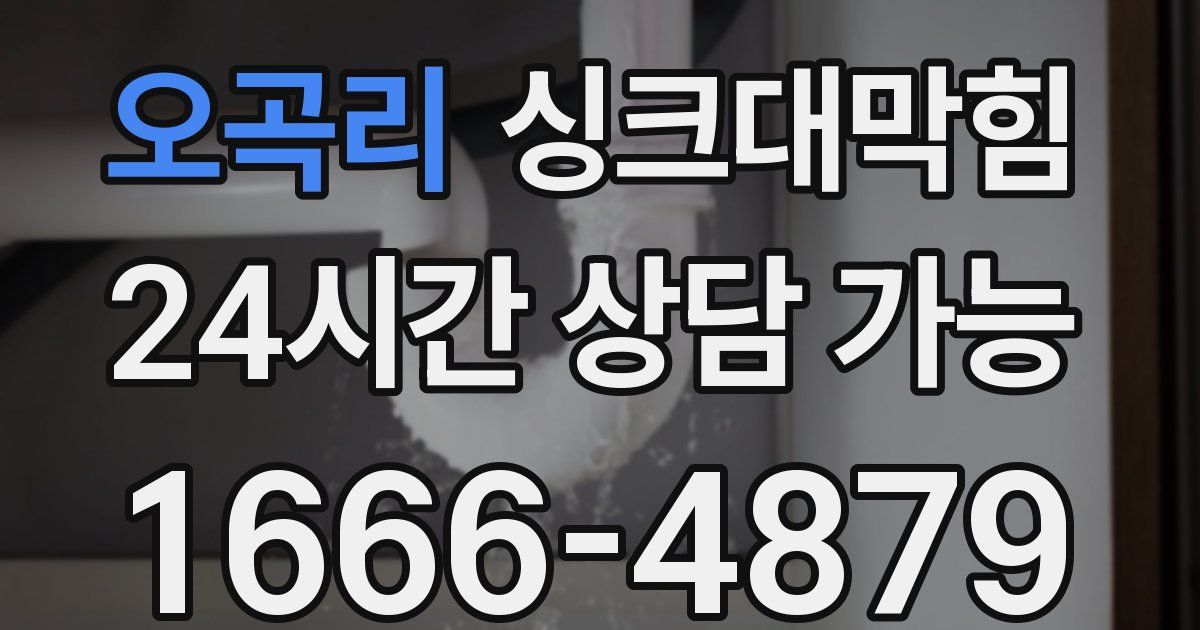 오곡리 싱크대 뚫기