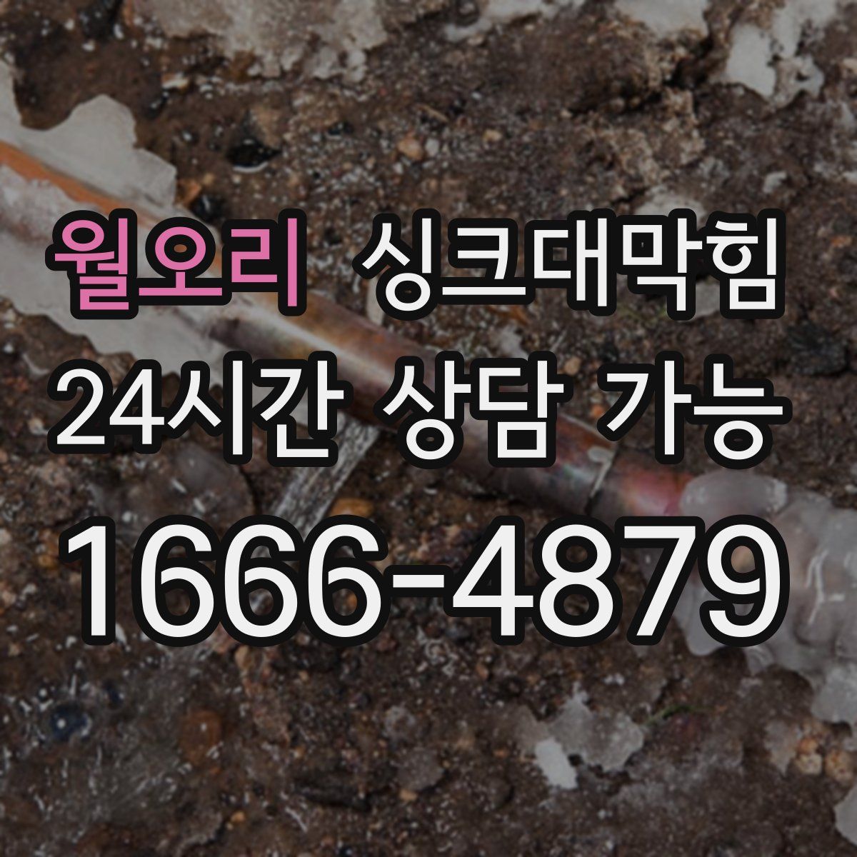 월오리 싱크대막힘