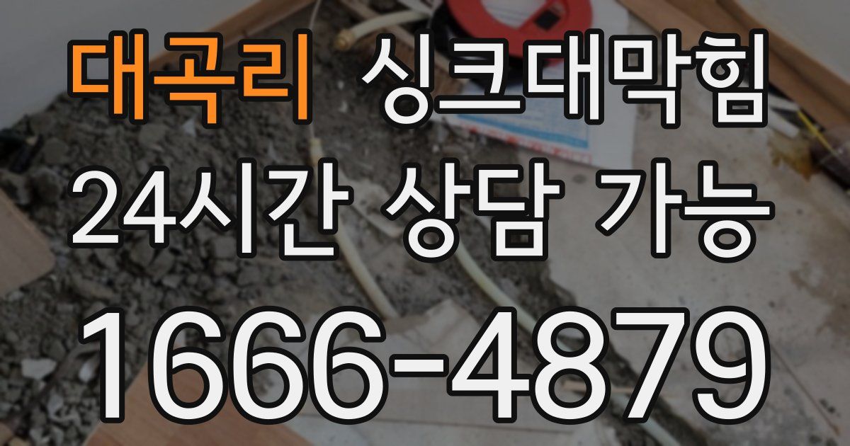 대곡리 싱크대 뚫기